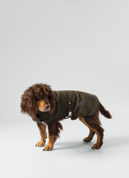 Tweed Herringbone Dog Jacket - Medium