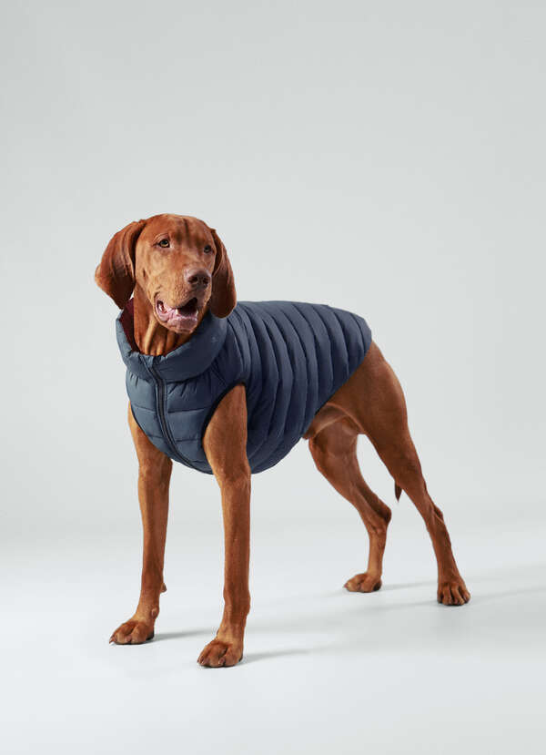 Reversible Down Puffer Dog Jacket - Large