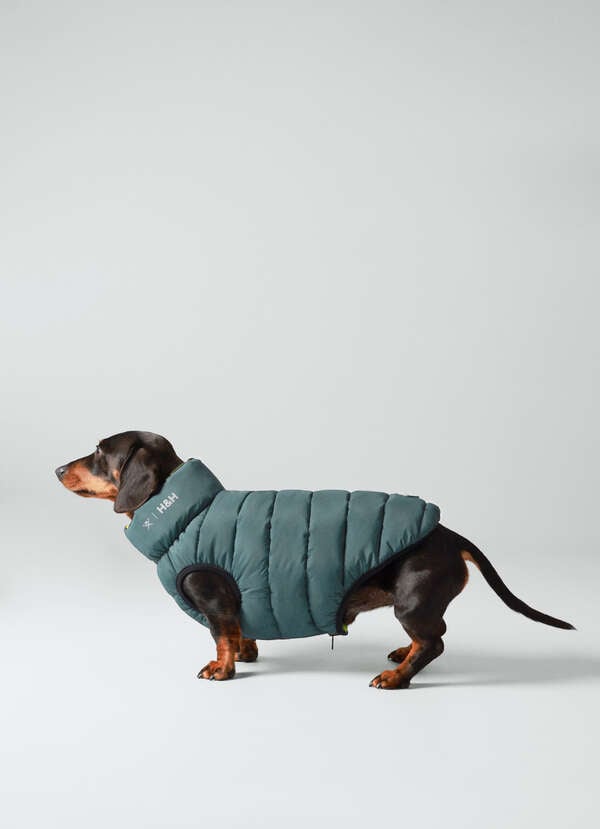 Reversible Down Puffer Dog Jacket - Small Reversible Down Puffer Dog Jacket - Small