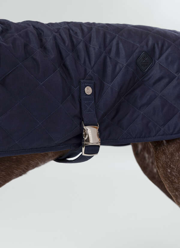 Quilted Dog Jacket - Large - 2
