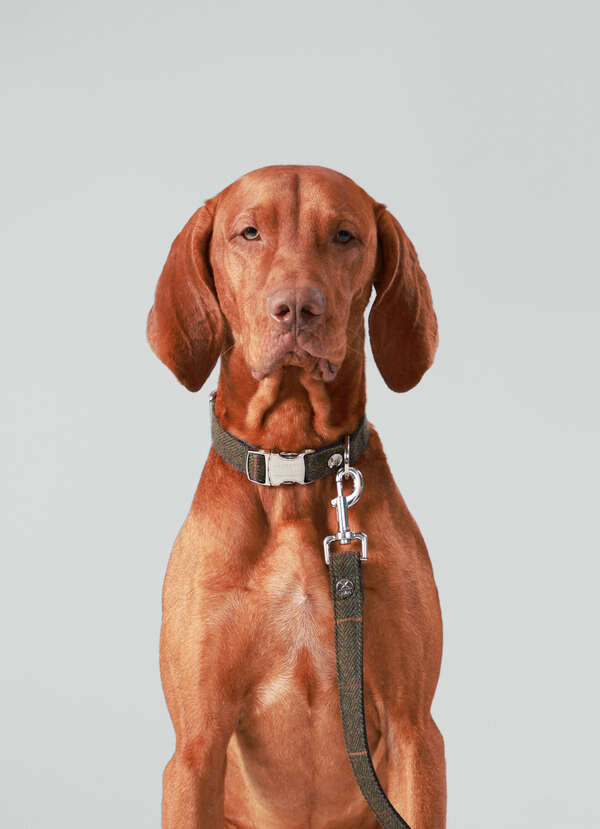 Tweed Herringbone Dog Lead