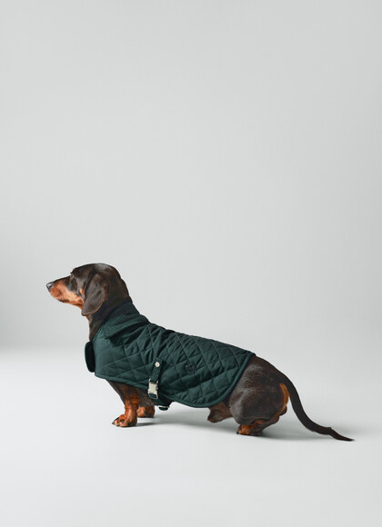 Quilted Dog Jacket - Small