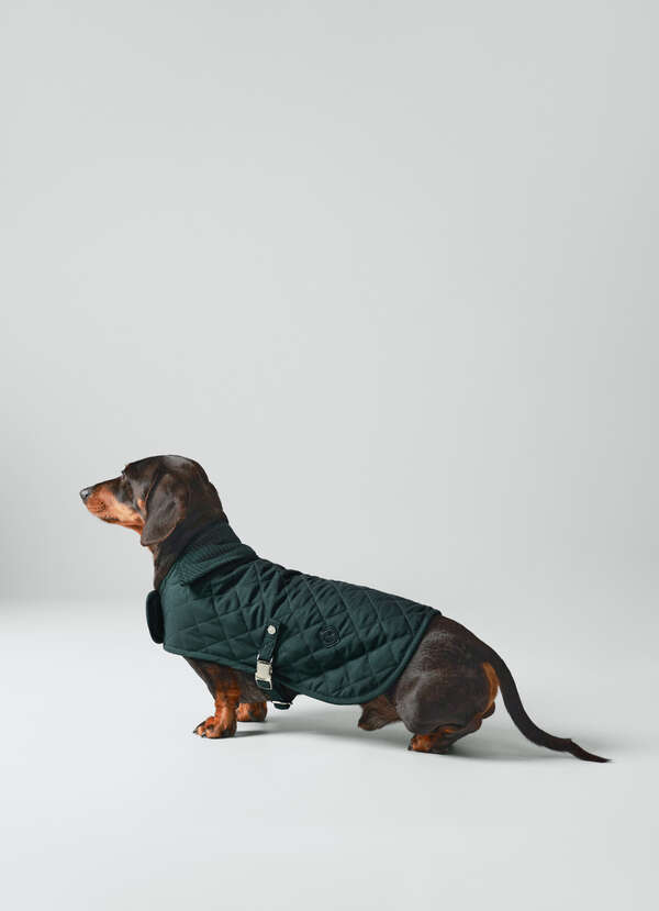 Quilted Dog Jacket - Small Quilted Dog Jacket - Small