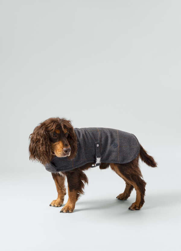 Tweed Herringbone Dog Jacket - Medium Tweed Herringbone Dog Jacket - Medium