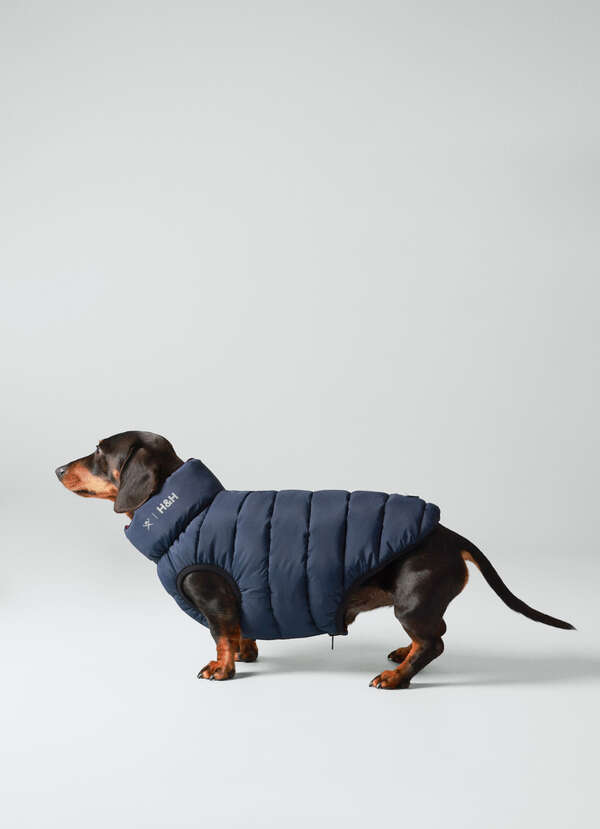 Reversible Down Puffer Dog Jacket - Small