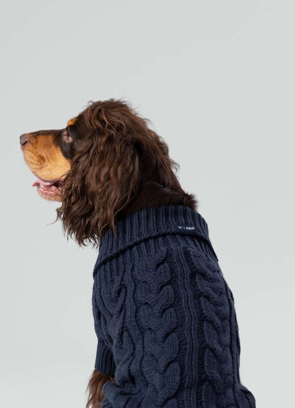 Cable Knitted Dog Jumper - 2 Cable Knitted Dog Jumper - 2