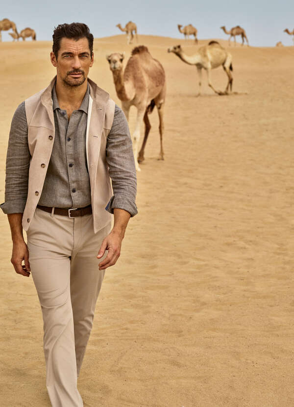 Tailored Fit Sanderson Stretch Cotton Chino