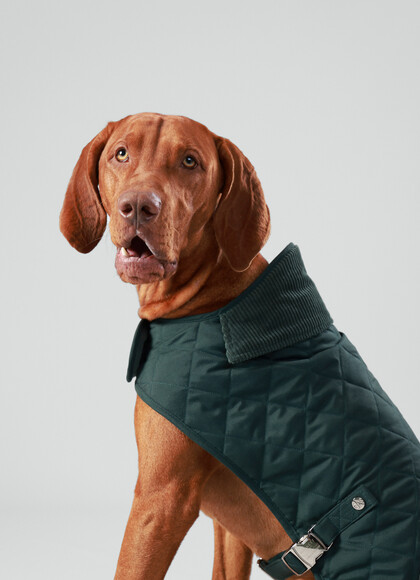 Quilted Dog Jacket - Large