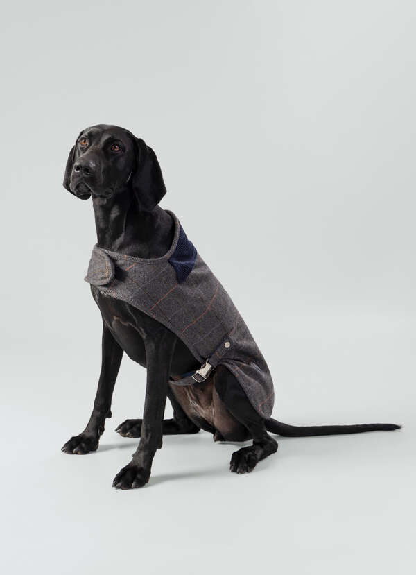 Tweed Herringbone Dog Jacket - Large