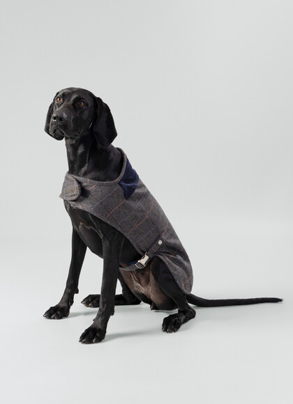 Tweed Herringbone Dog Jacket - Large