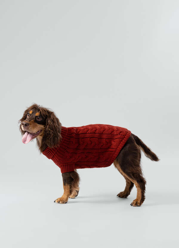 Cable Knitted Dog Jumper