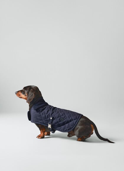 Quilted Dog Jacket - Small