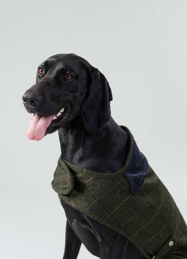 Tweed Herringbone Dog Jacket - Large - 2