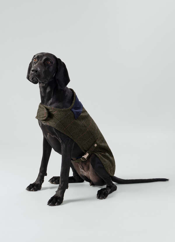 Tweed Herringbone Dog Jacket - Large