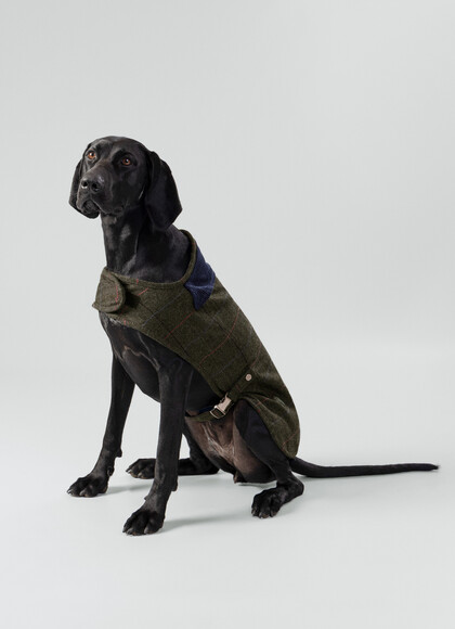 Tweed Herringbone Dog Jacket - Large