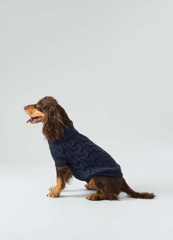Cable Knitted Dog Jumper Cable Knitted Dog Jumper