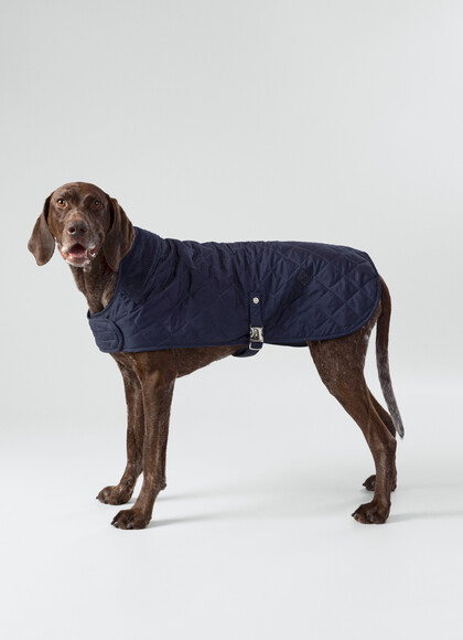 Quilted Dog Jacket - Large